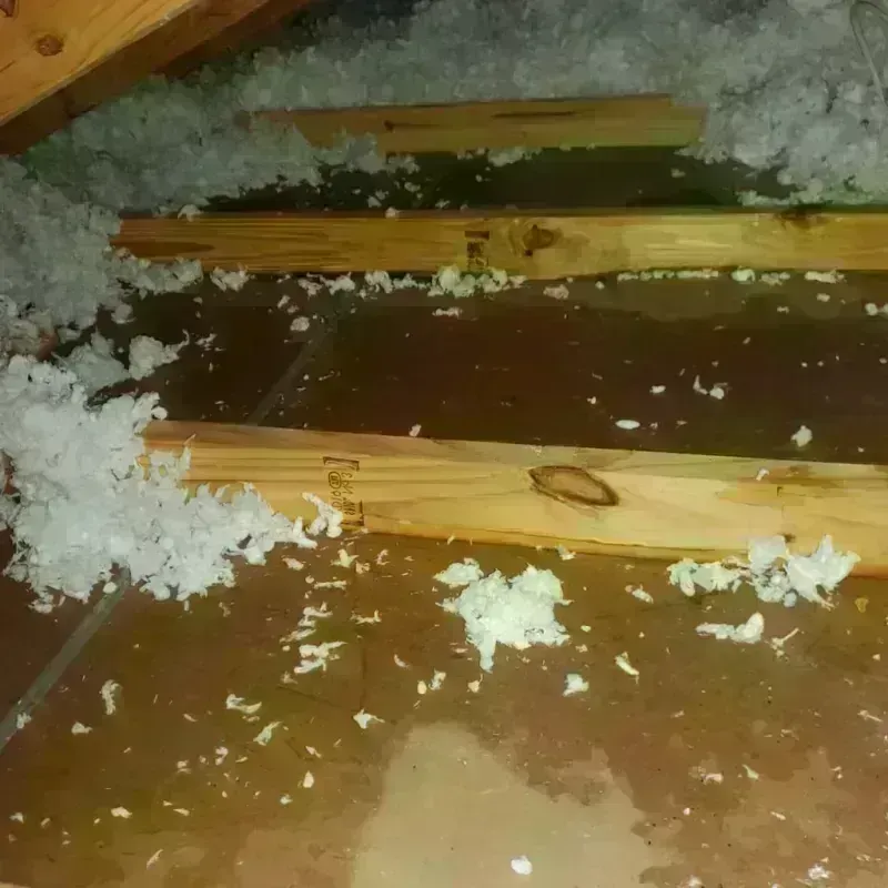 Attic Water Damage in Goodman, MO