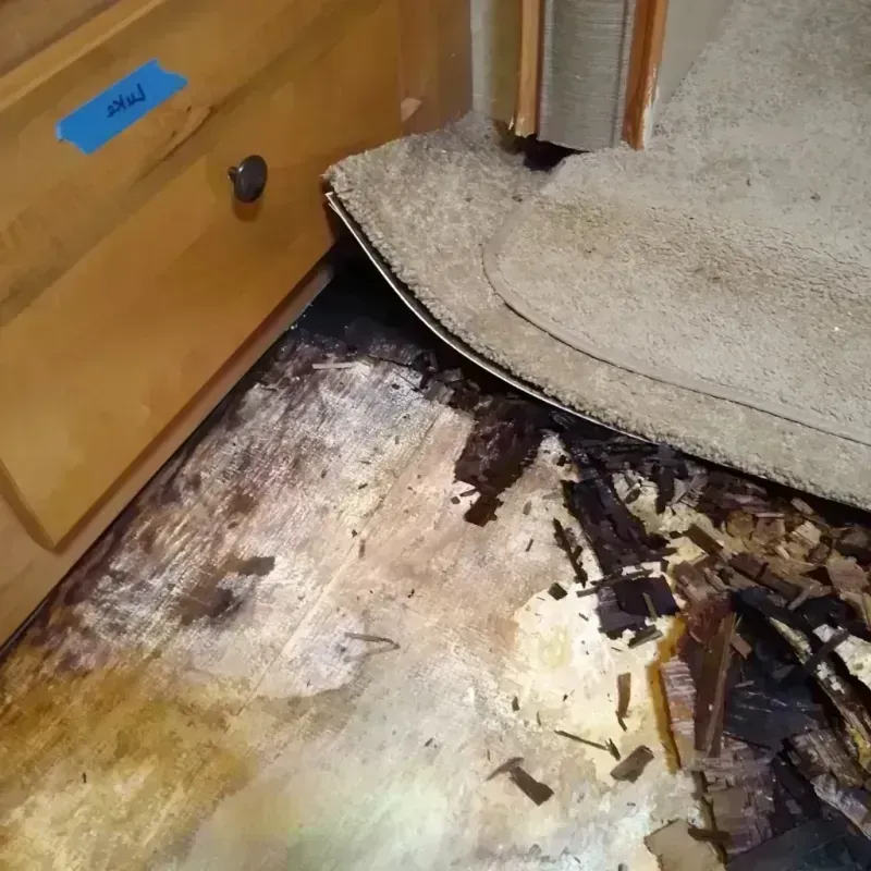 Best Wood Floor Water Damage Service in Goodman, MO